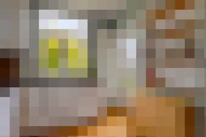 Jozef Israëlskade 14 C Amsterdam thumbnail 14