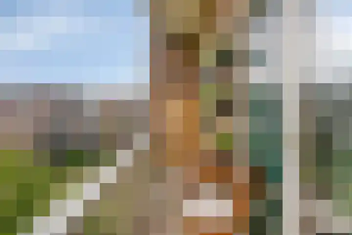 Jozef Israëlskade 14 C Amsterdam thumbnail 15