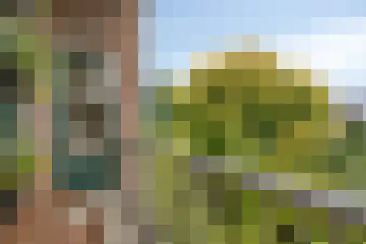 Jozef Israëlskade 14 C Amsterdam thumbnail 16