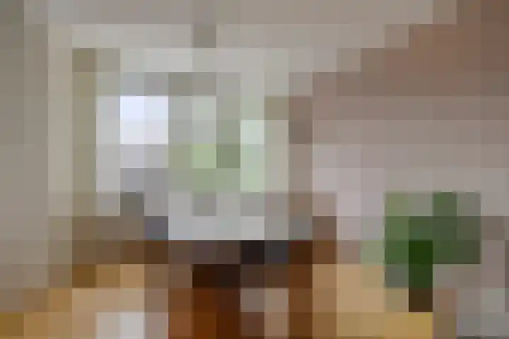 Jozef Israëlskade 14 C Amsterdam thumbnail 18