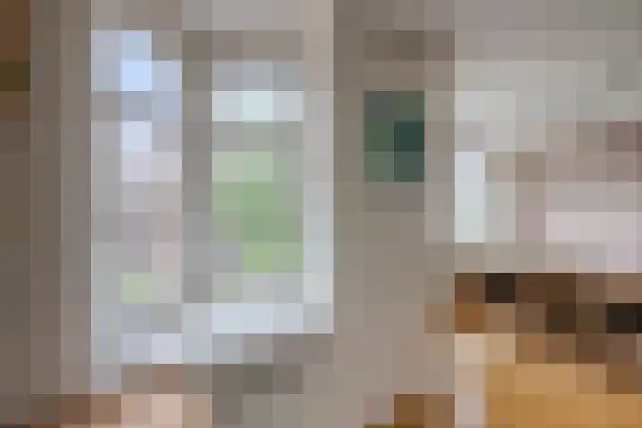 Jozef Israëlskade 14 C Amsterdam thumbnail 20