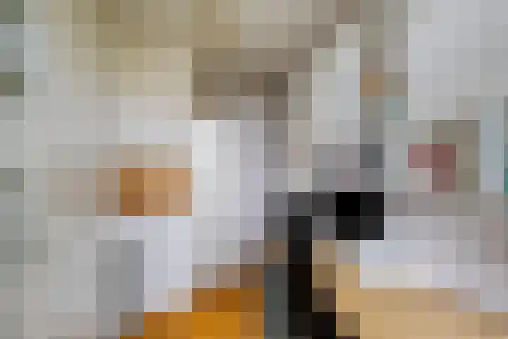 Jozef Israëlskade 14 C Amsterdam thumbnail 24