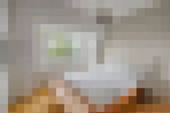 Jozef Israëlskade 14 C Amsterdam thumbnail 26