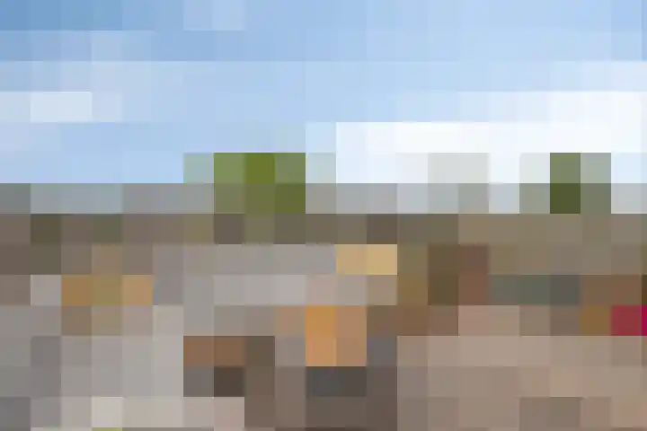Jozef Israëlskade 14 C Amsterdam thumbnail 33