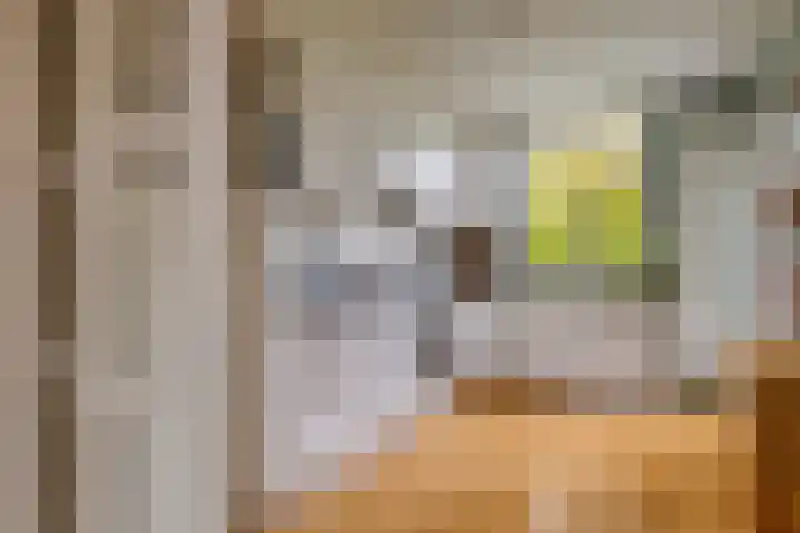 Jozef Israëlskade 14 C Amsterdam thumbnail 4