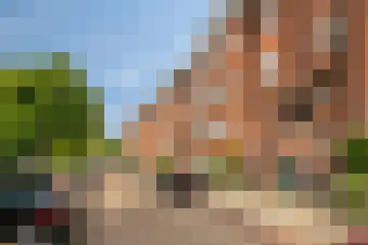 Jozef Israëlskade 14 C Amsterdam thumbnail 7