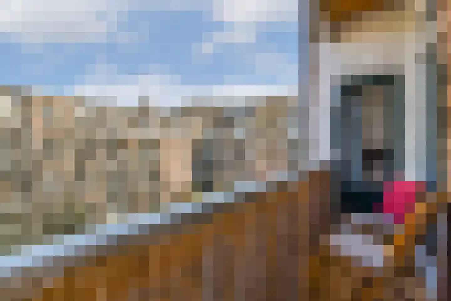 Jozef Israëlskade 15 C Amsterdam thumbnail 11