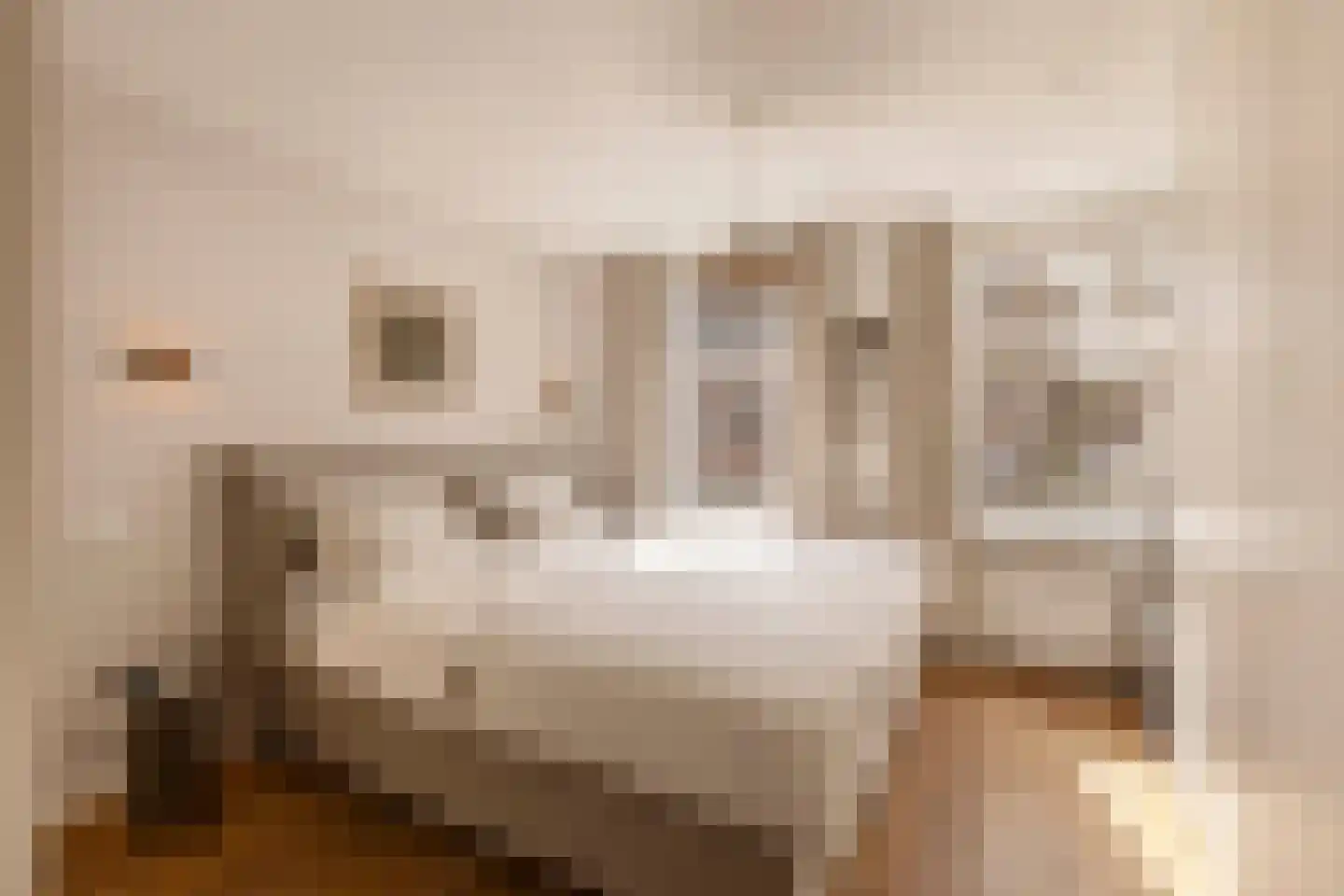 Jozef Israëlskade 18 A Amsterdam thumbnail 18