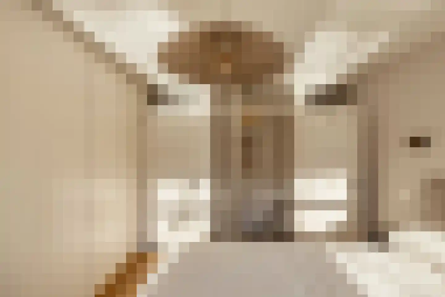 Jozef Israëlskade 18 A Amsterdam thumbnail 20