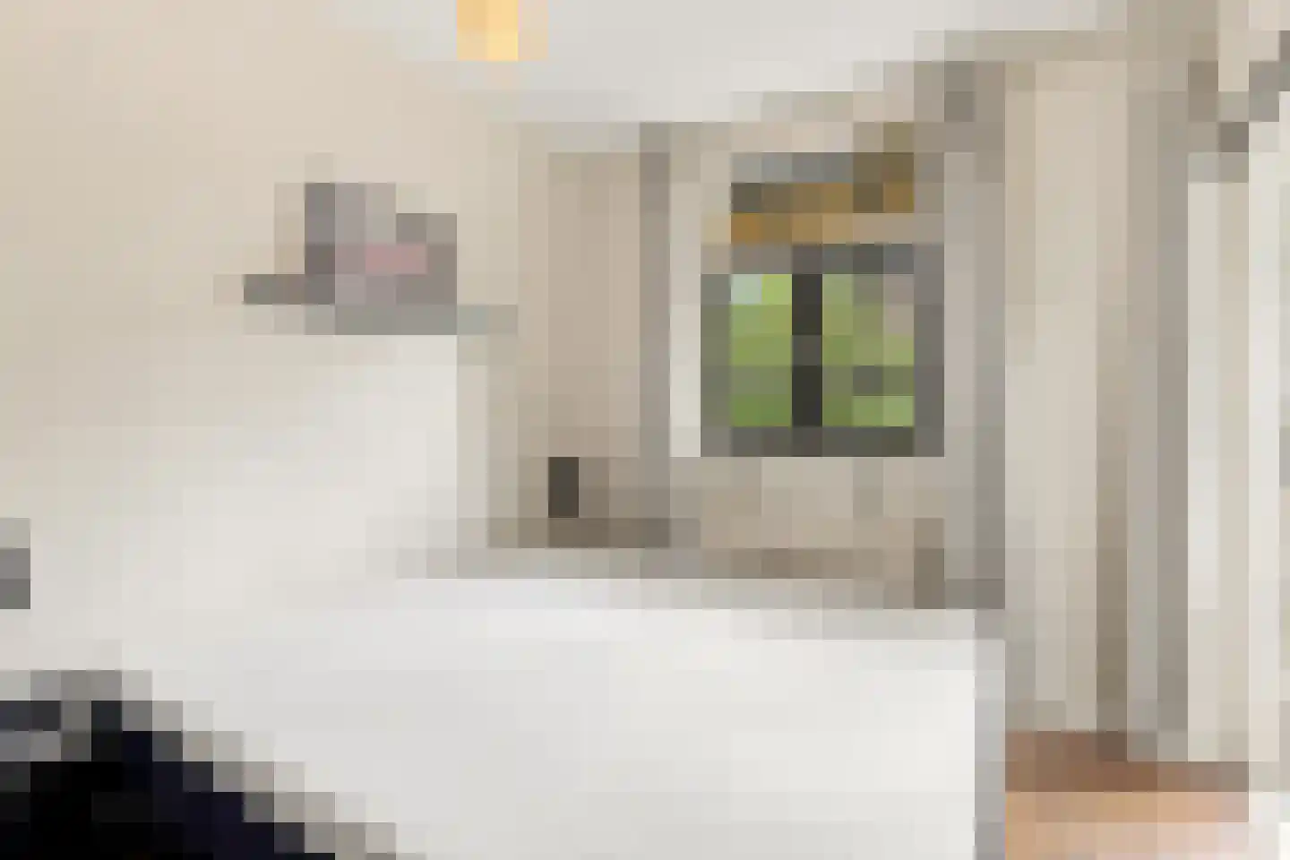 Jozef Israëlskade 2 B Amsterdam thumbnail 18