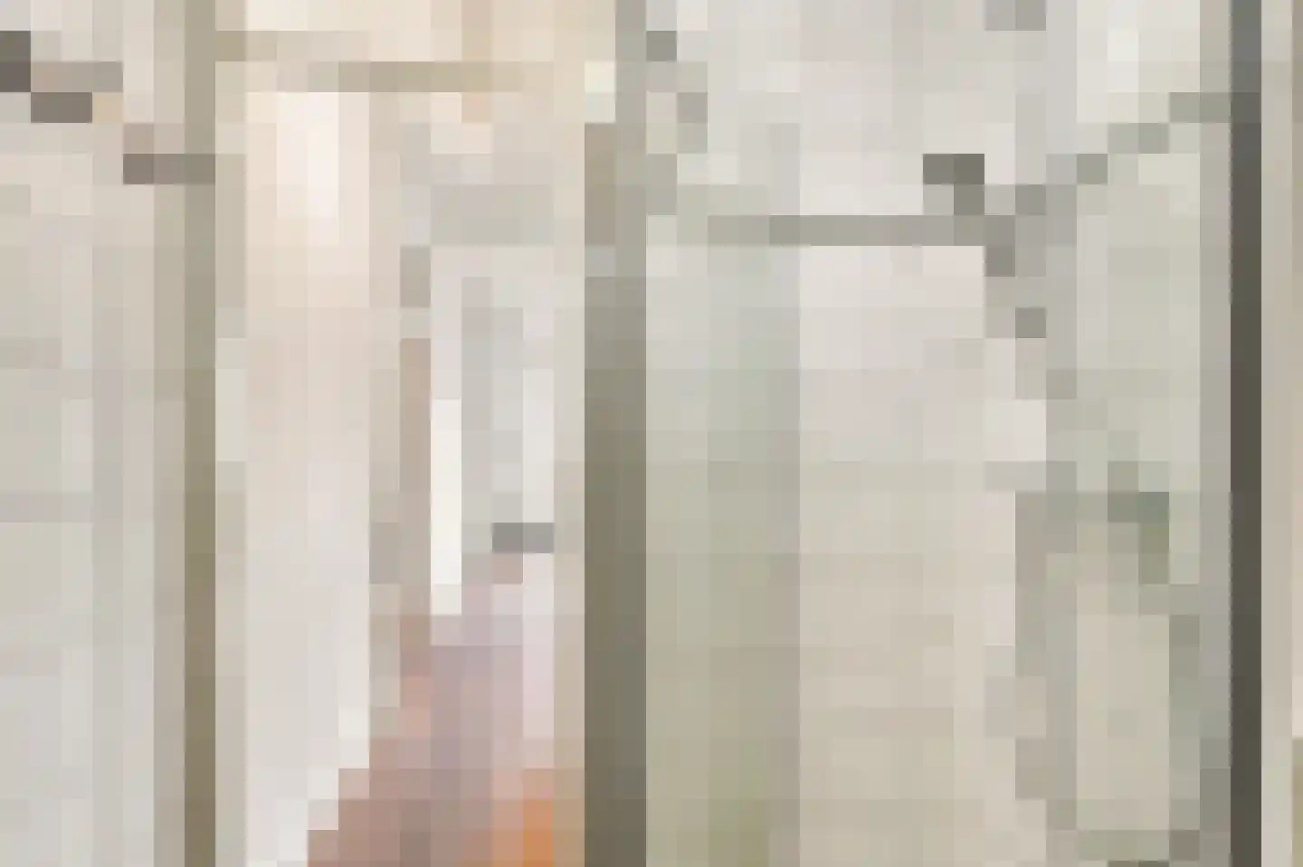 Jozef Israëlskade 2 B Amsterdam thumbnail 22
