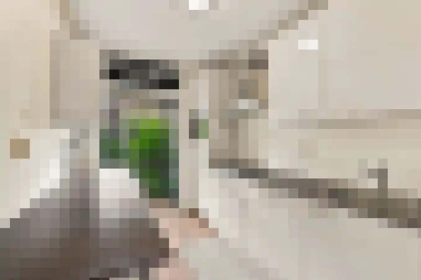 Jozef Israëlskade 2 B Amsterdam thumbnail 6