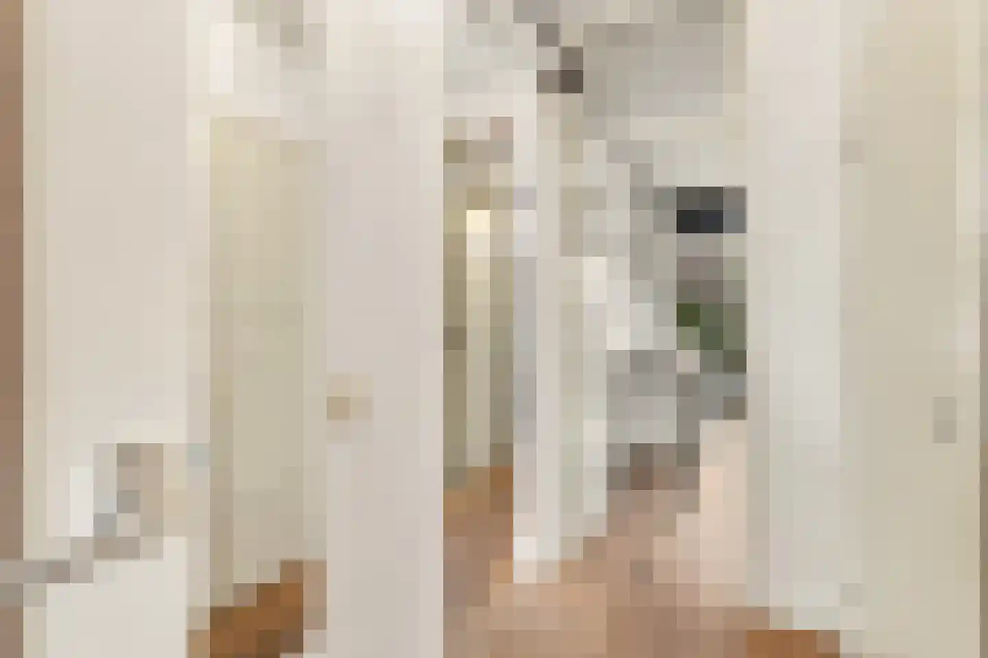 Jozef Israëlskade 2 B Amsterdam thumbnail 7