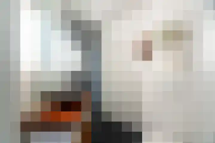 Jozef Israëlskade 22 C Amsterdam thumbnail 10