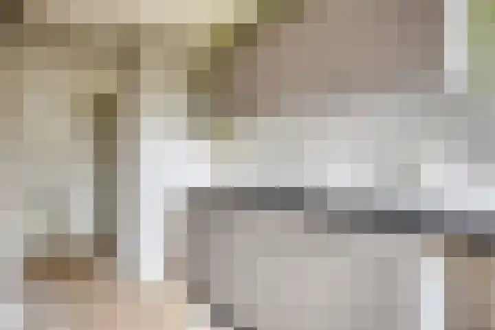 Jozef Israëlskade 22 C Amsterdam thumbnail 11