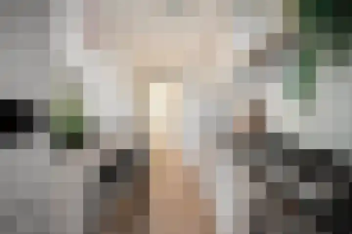 Jozef Israëlskade 22 C Amsterdam thumbnail 13