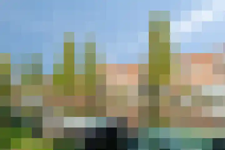 Jozef Israëlskade 22 C Amsterdam thumbnail 17