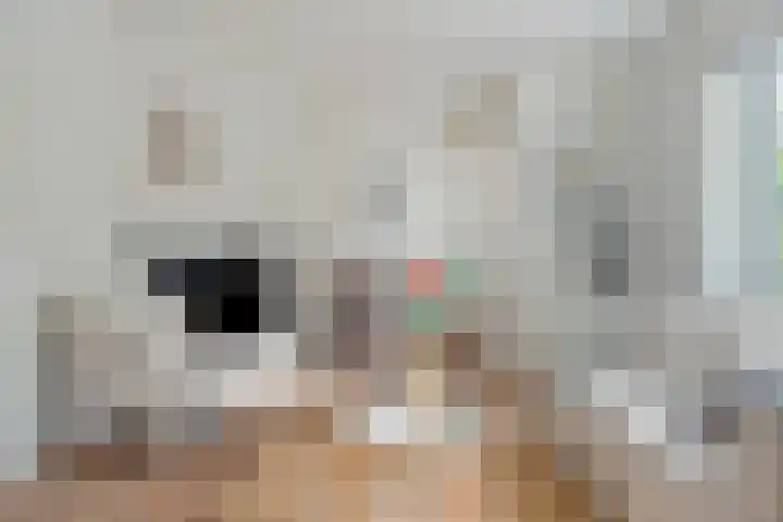 Jozef Israëlskade 22 C Amsterdam thumbnail 5