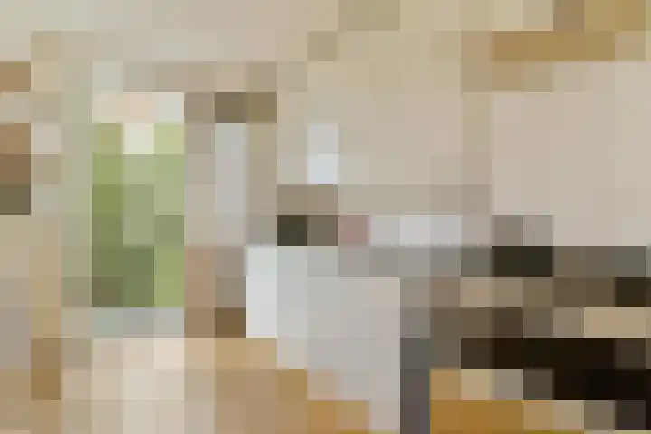 Jozef Israëlskade 30 C Amsterdam thumbnail 11