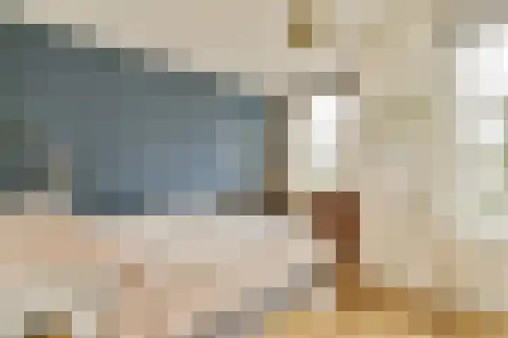 Jozef Israëlskade 30 C Amsterdam thumbnail 15