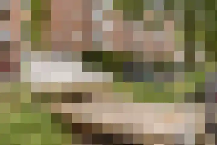 Jozef Israëlskade 30 C Amsterdam thumbnail 19