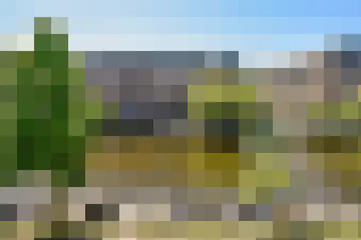 Jozef Israëlskade 30 C Amsterdam thumbnail 21