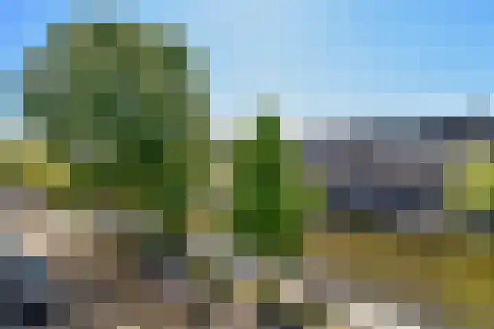 Jozef Israëlskade 30 C Amsterdam thumbnail 23