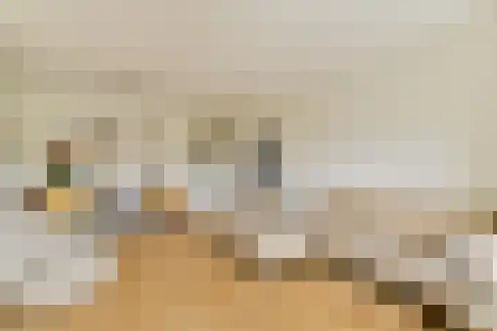 Jozef Israëlskade 30 C Amsterdam thumbnail 6