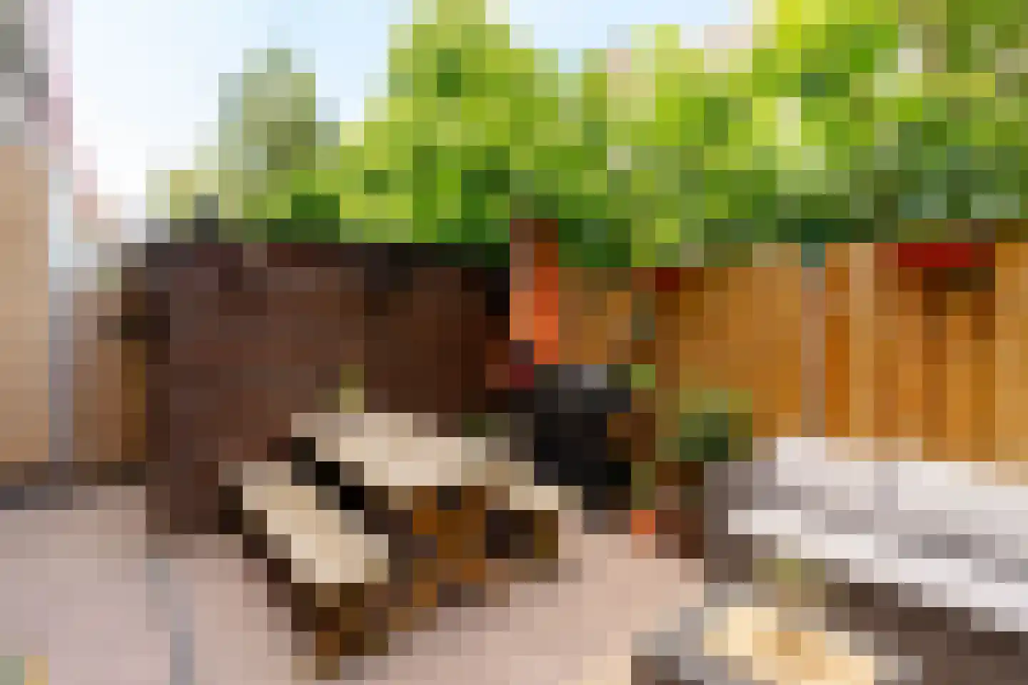 Jozef Israëlskade 34 Amsterdam thumbnail 11