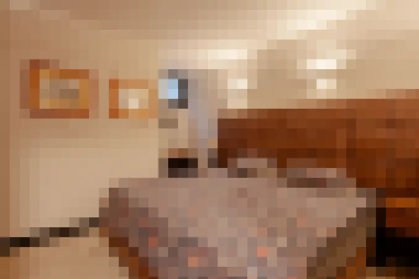 Jozef Israëlskade 34 Amsterdam thumbnail 20