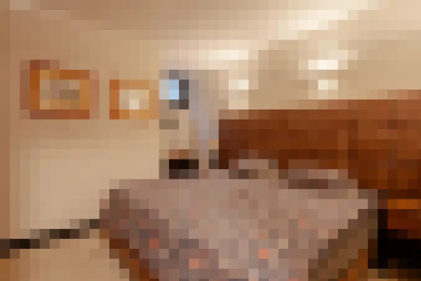 Jozef Israëlskade 34 Amsterdam thumbnail 21