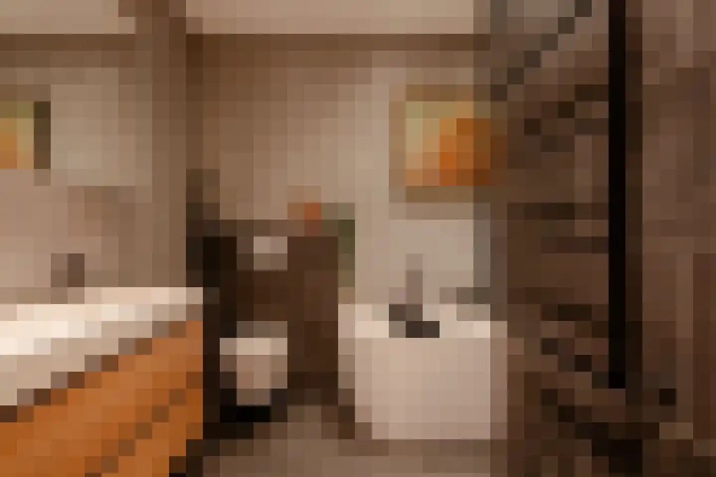 Jozef Israëlskade 34 Amsterdam thumbnail 22