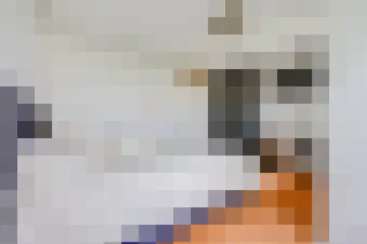 Jozef Israëlskade 36 A Amsterdam thumbnail 13