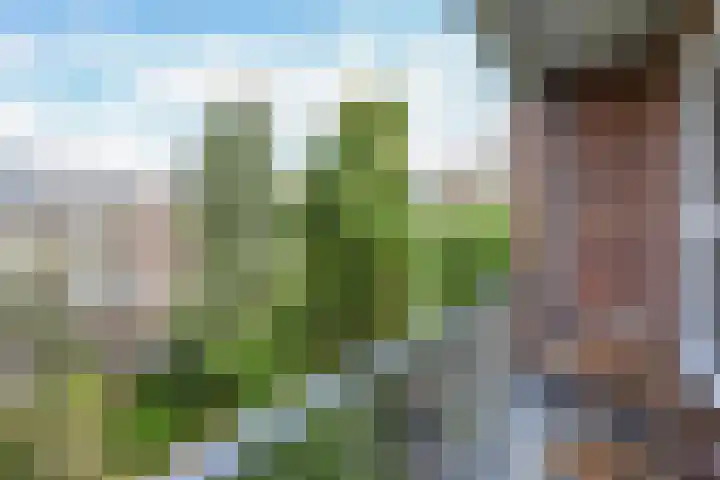 Jozef Israëlskade 36 A Amsterdam thumbnail 18