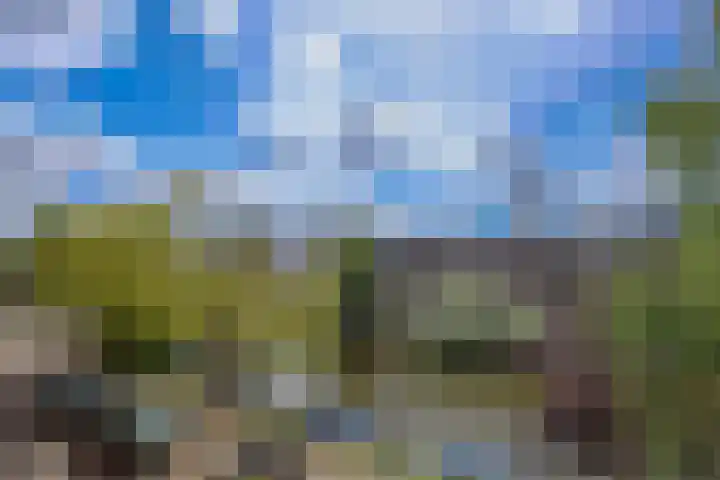 Jozef Israëlskade 36 A Amsterdam thumbnail 22