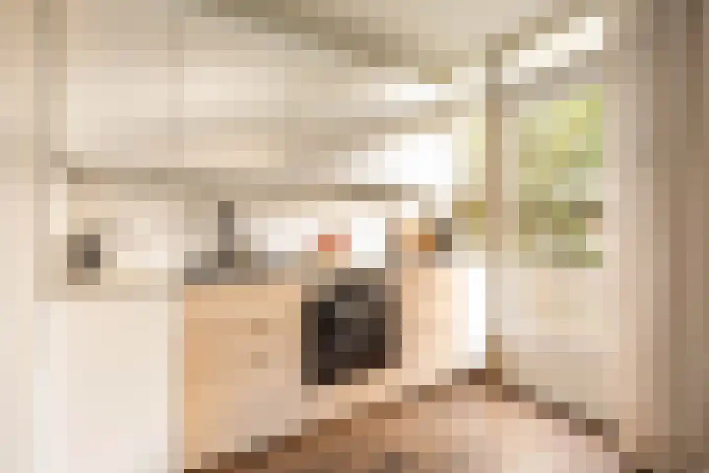 Jozef Israëlskade 384 Amsterdam thumbnail 12