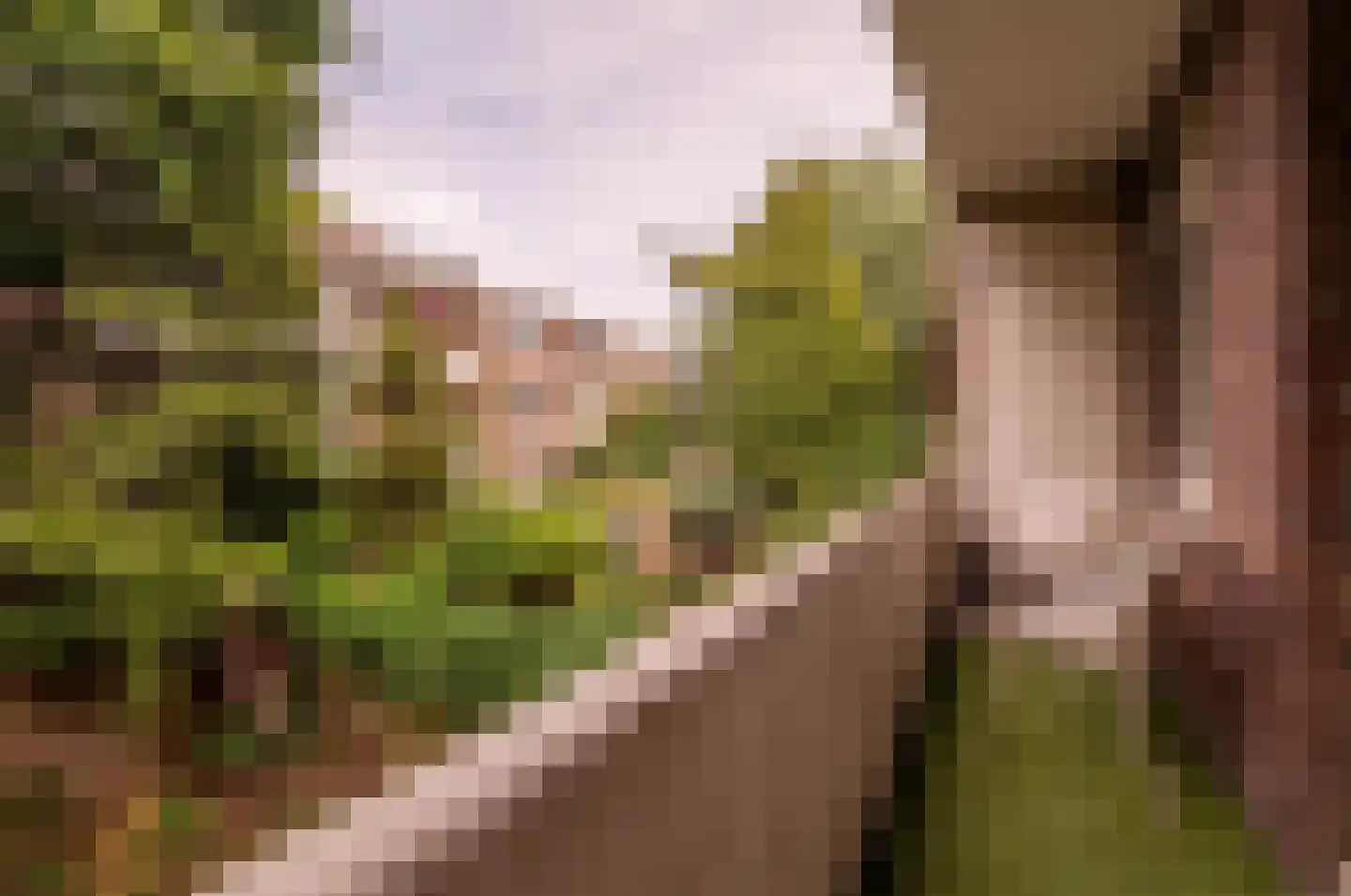 Jozef Israëlskade 384 Amsterdam thumbnail 13