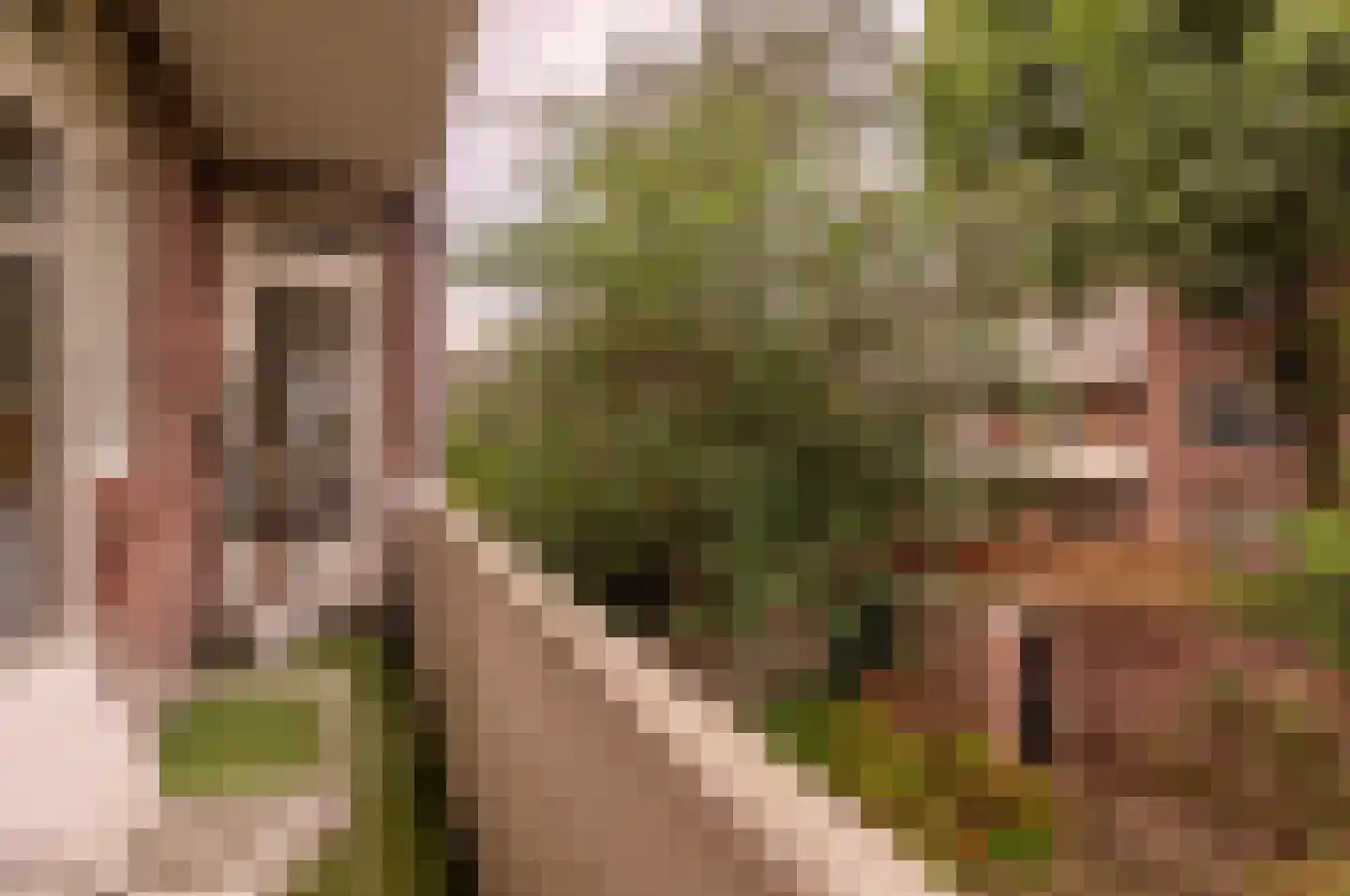 Jozef Israëlskade 384 Amsterdam thumbnail 14