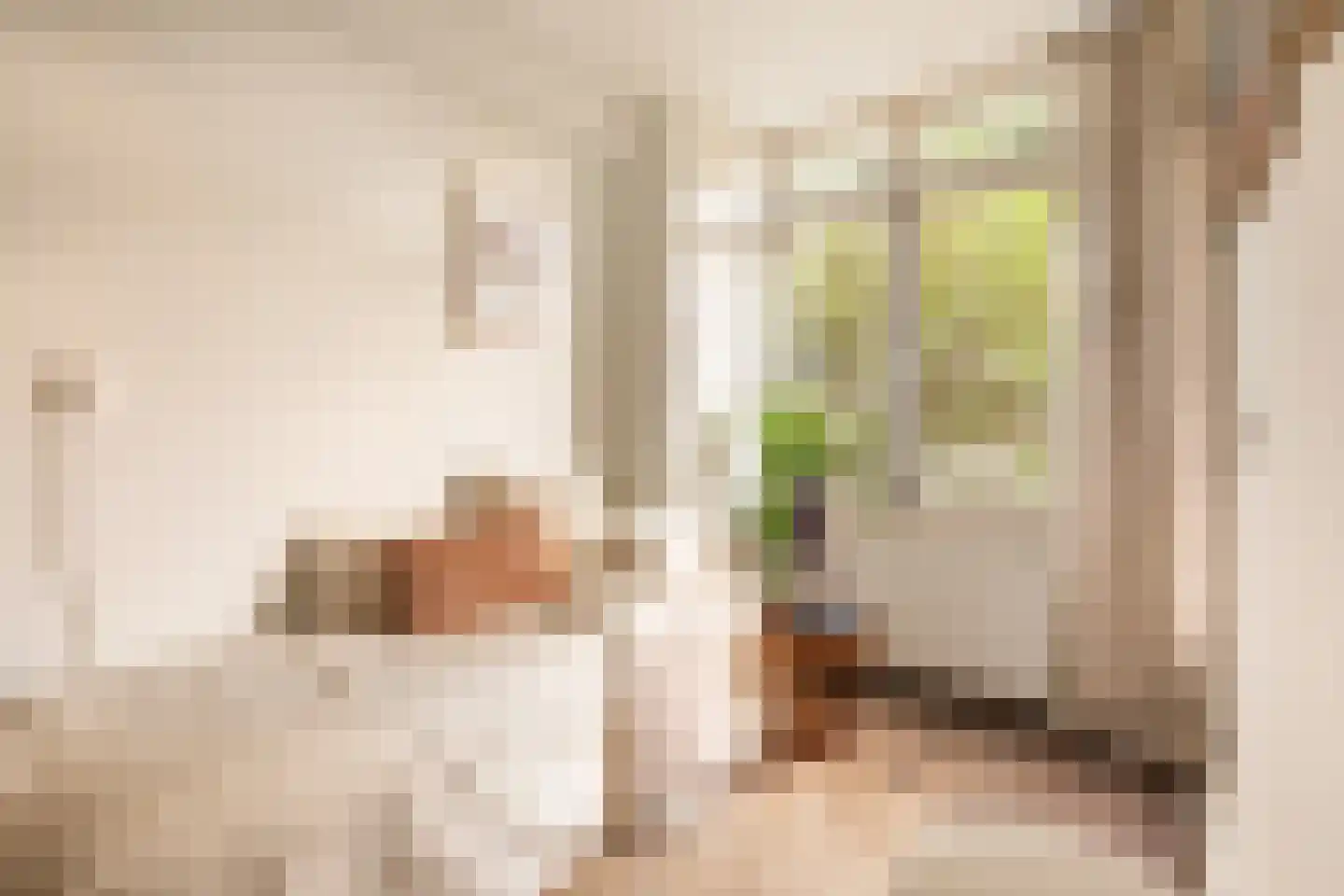 Jozef Israëlskade 384 Amsterdam thumbnail 19