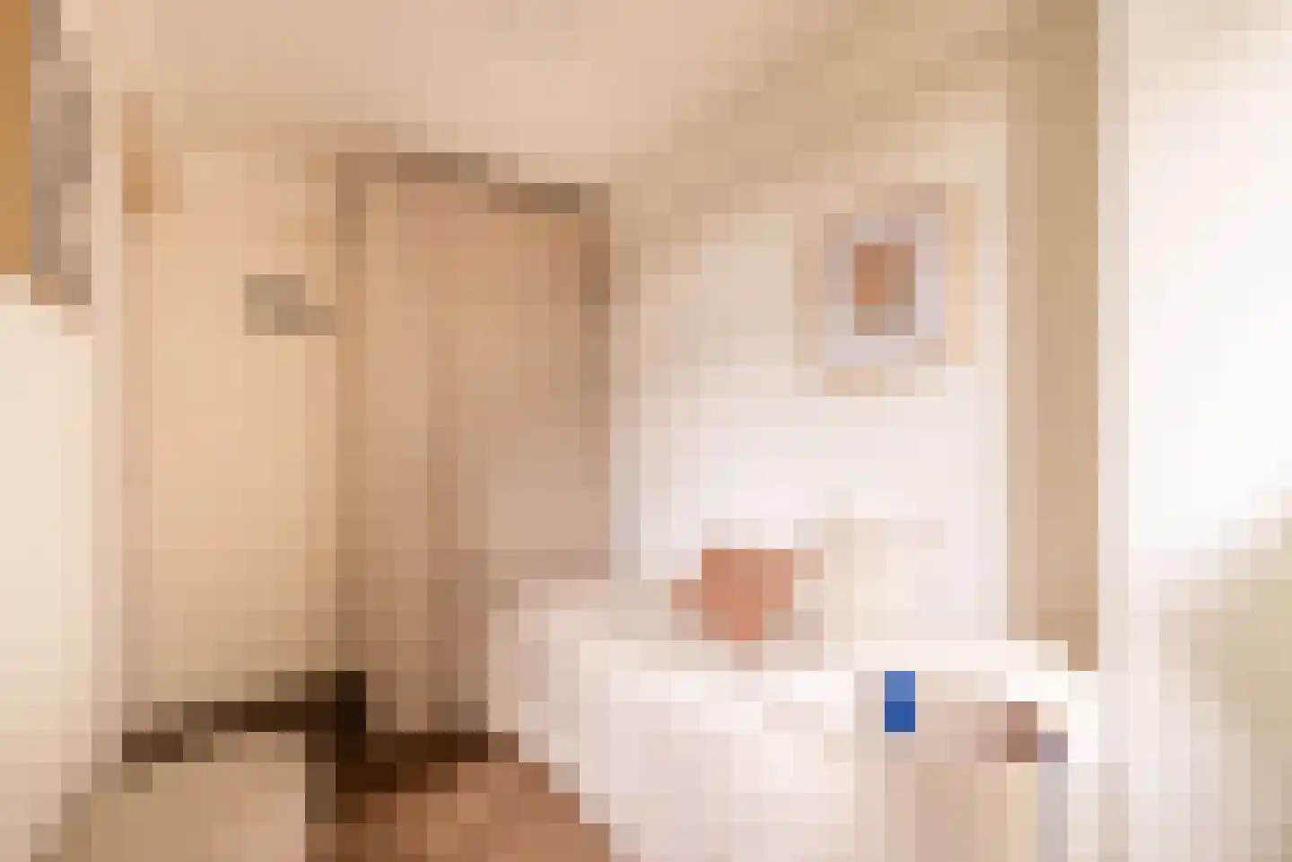 Jozef Israëlskade 384 Amsterdam thumbnail 20
