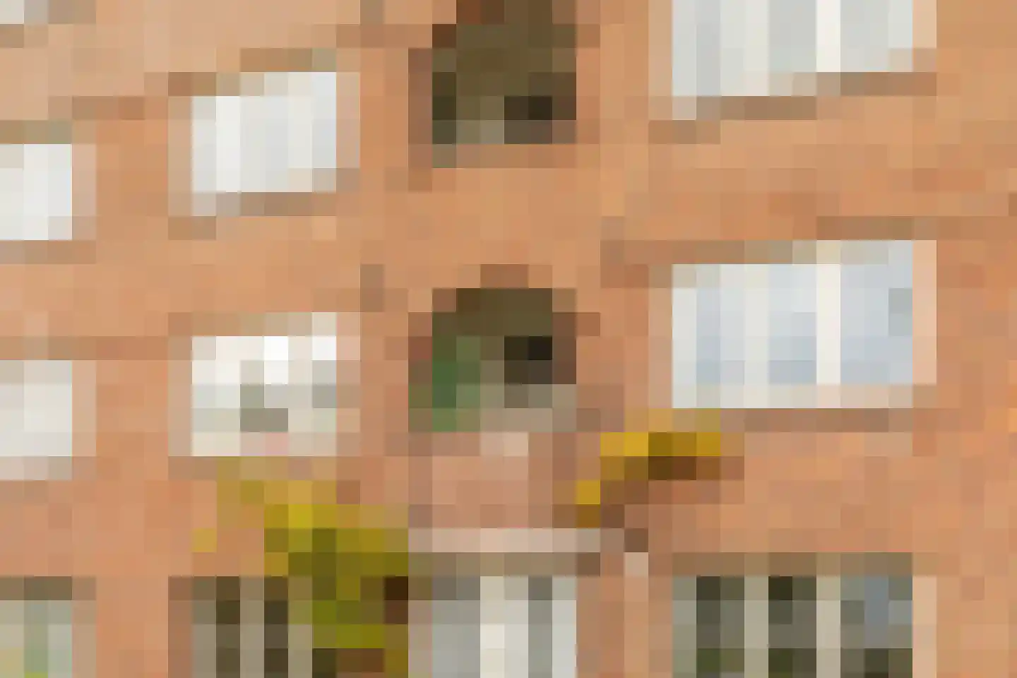 Jozef Israëlskade 384 Amsterdam thumbnail 22