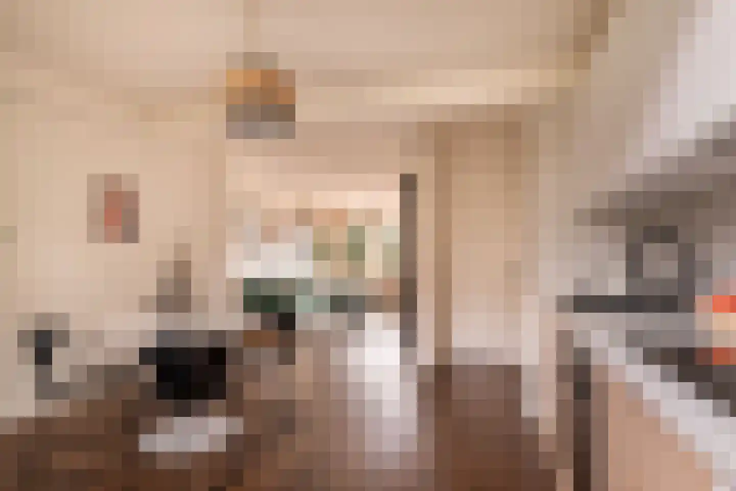 Jozef Israëlskade 384 Amsterdam thumbnail 4