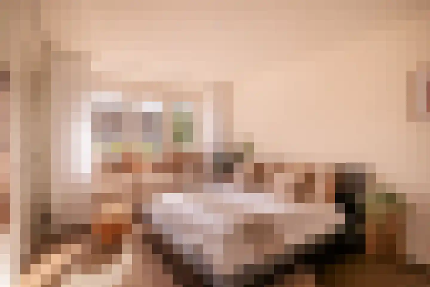 Jozef Israëlskade 384 Amsterdam thumbnail 5