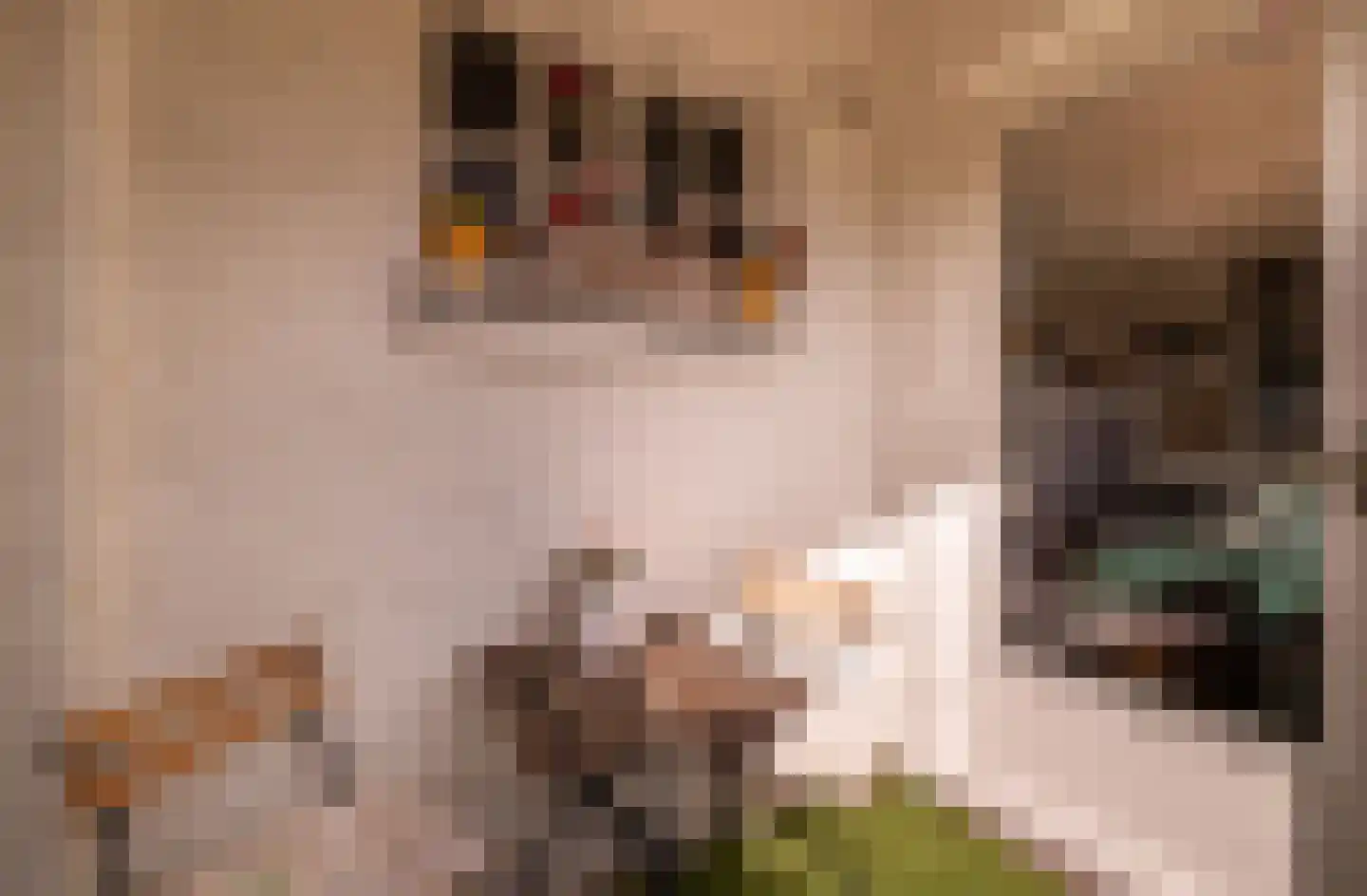 Jozef Israëlskade 384 Amsterdam thumbnail 7