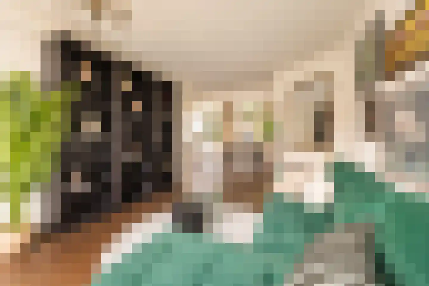 Jozef Israëlskade 384 Amsterdam thumbnail 7
