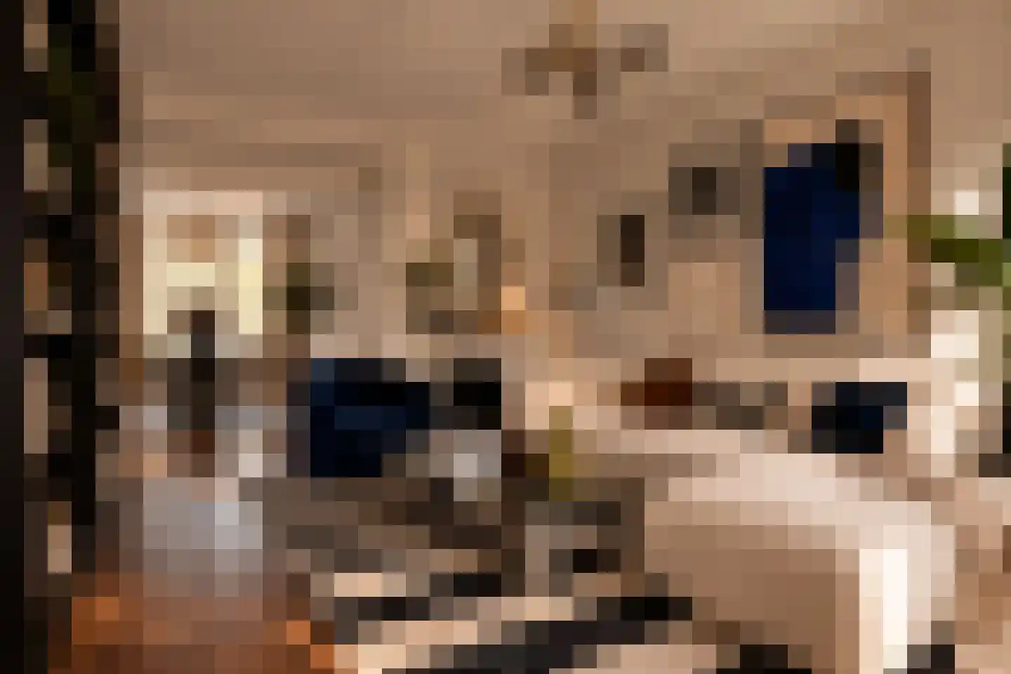 Jozef Israëlskade 384 Amsterdam thumbnail 8