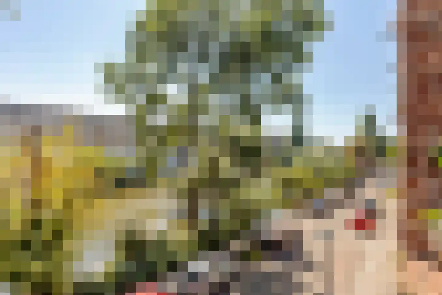 Jozef Israëlskade 402 Amsterdam thumbnail 11