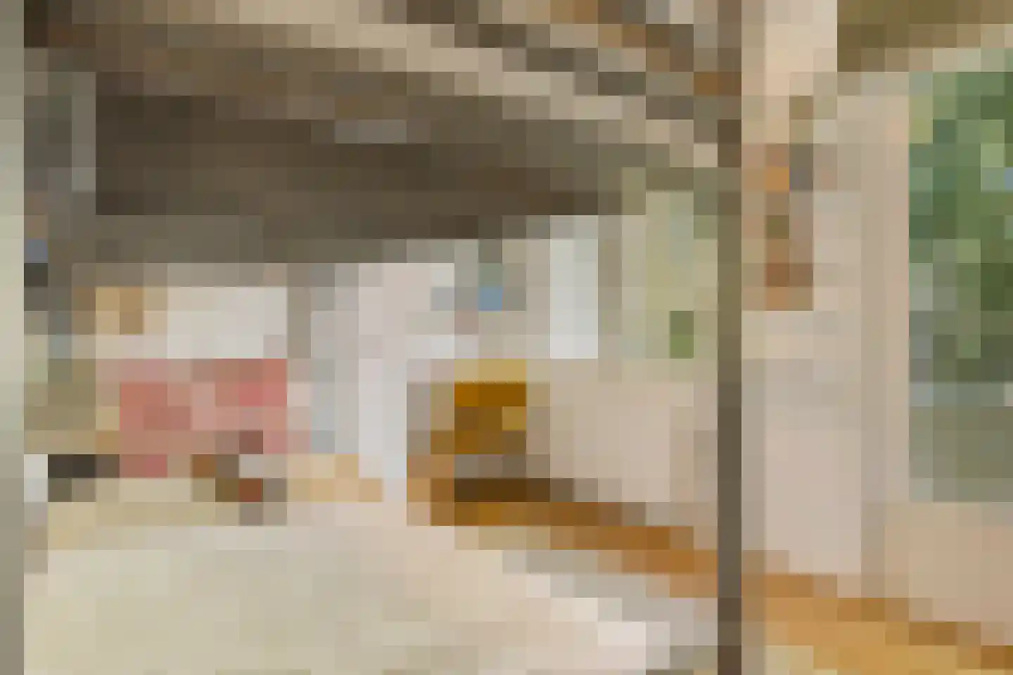 Jozef Israëlskade 402 Amsterdam thumbnail 22