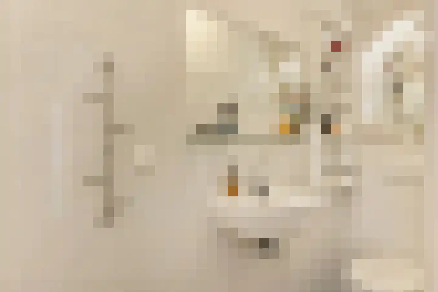 Jozef Israëlskade 402 Amsterdam thumbnail 28