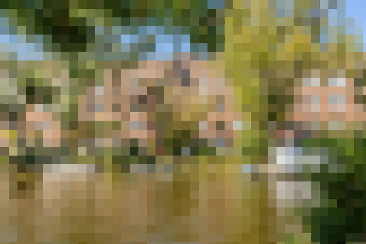Jozef Israëlskade 402 Amsterdam thumbnail 6